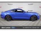 Thumbnail Photo 23 for 2019 Ford Mustang